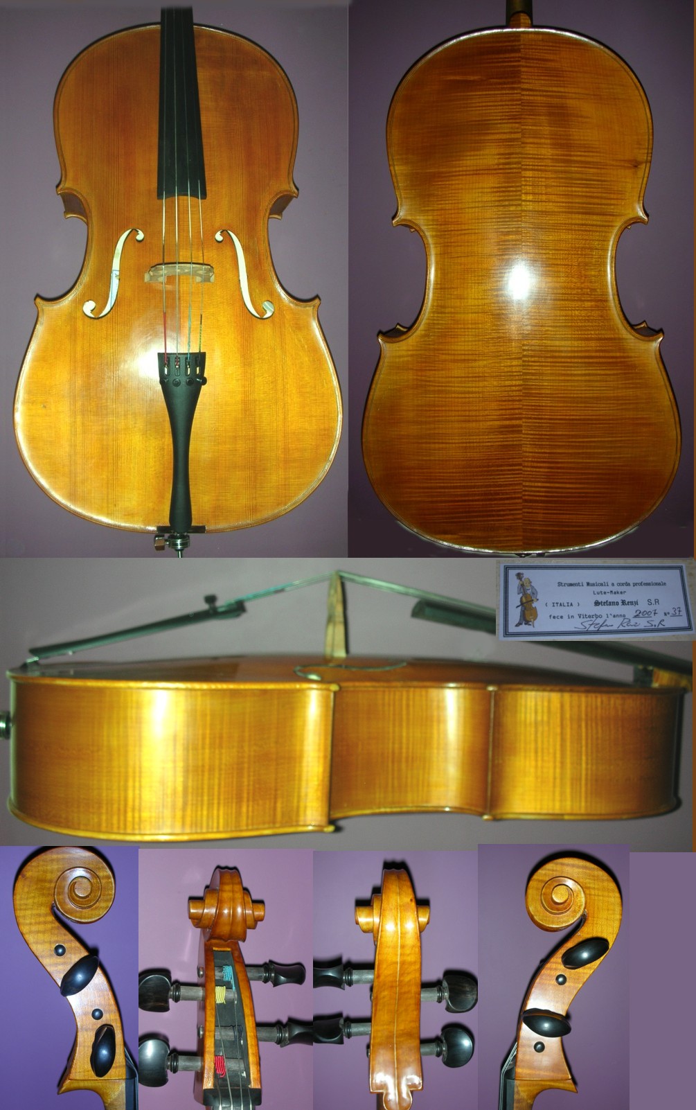 Modern Italian Cello by Stefano Renzi