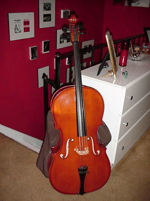 Meisel Cello and Steiner bow
