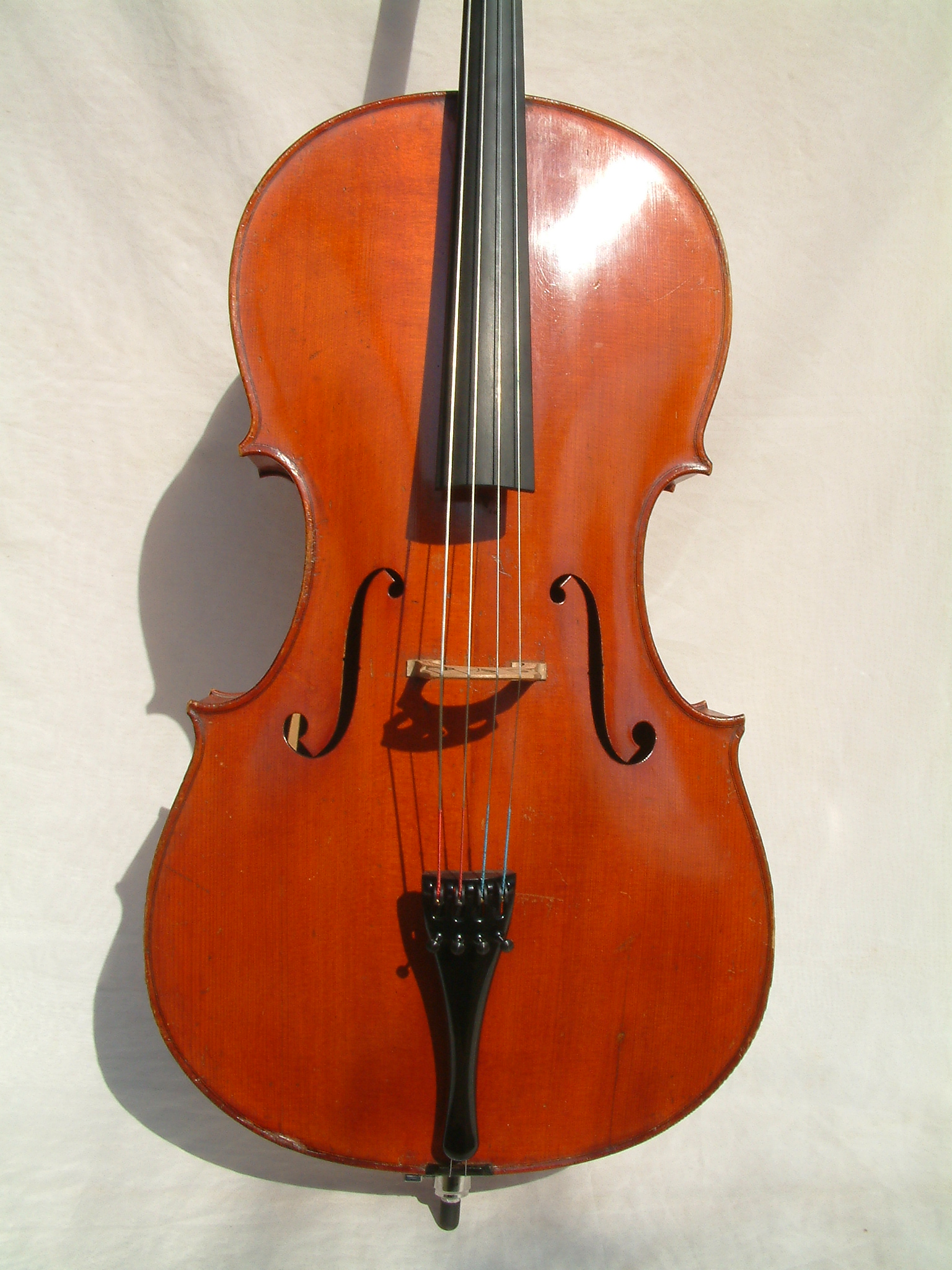 Farotti Celeste Cello 1903 Front Farotti Celeste Cello 1903 Front
