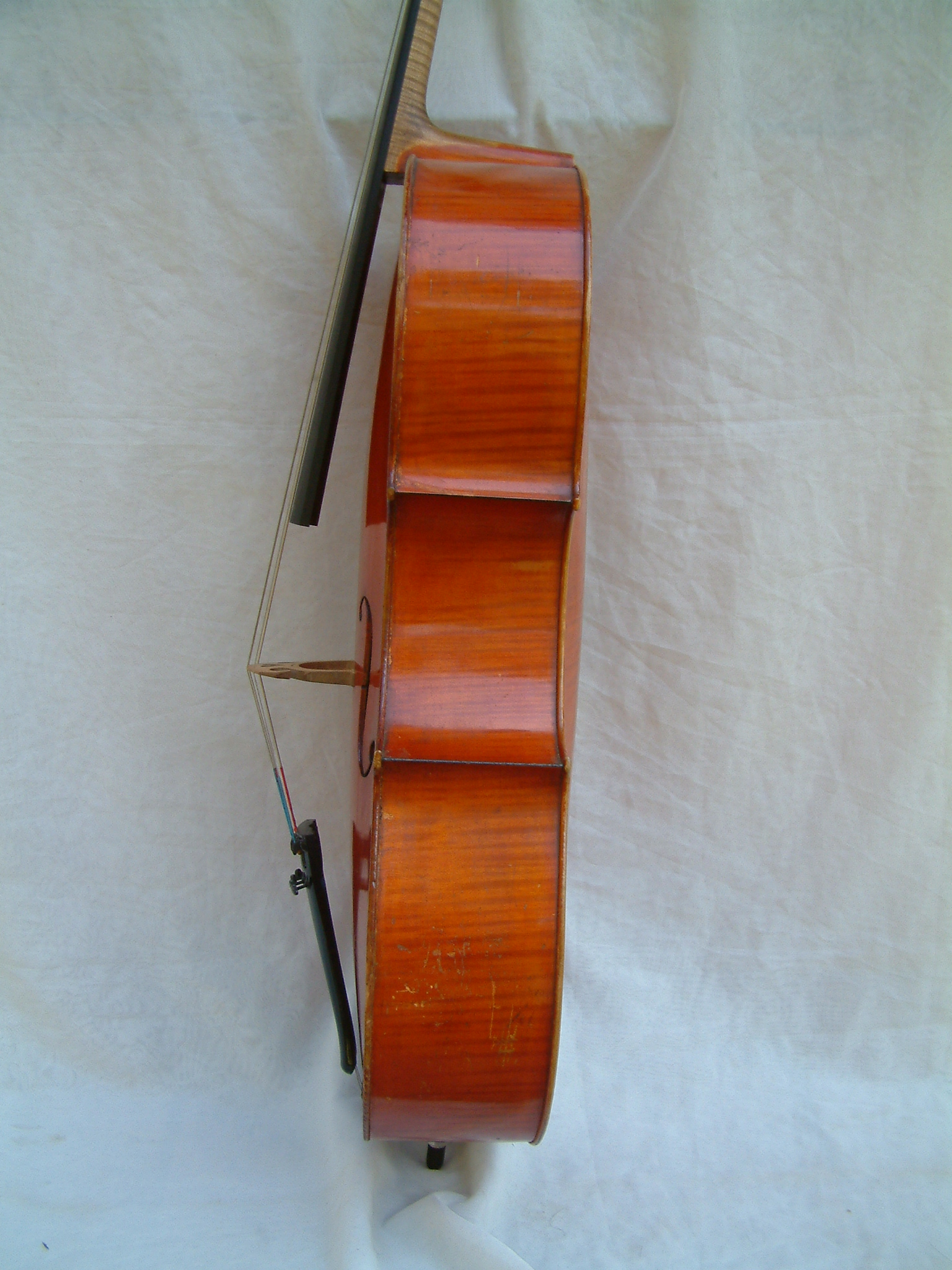 Farotti Celeste Cello 1903 Side Farotti Celeste Cello 1903 Side