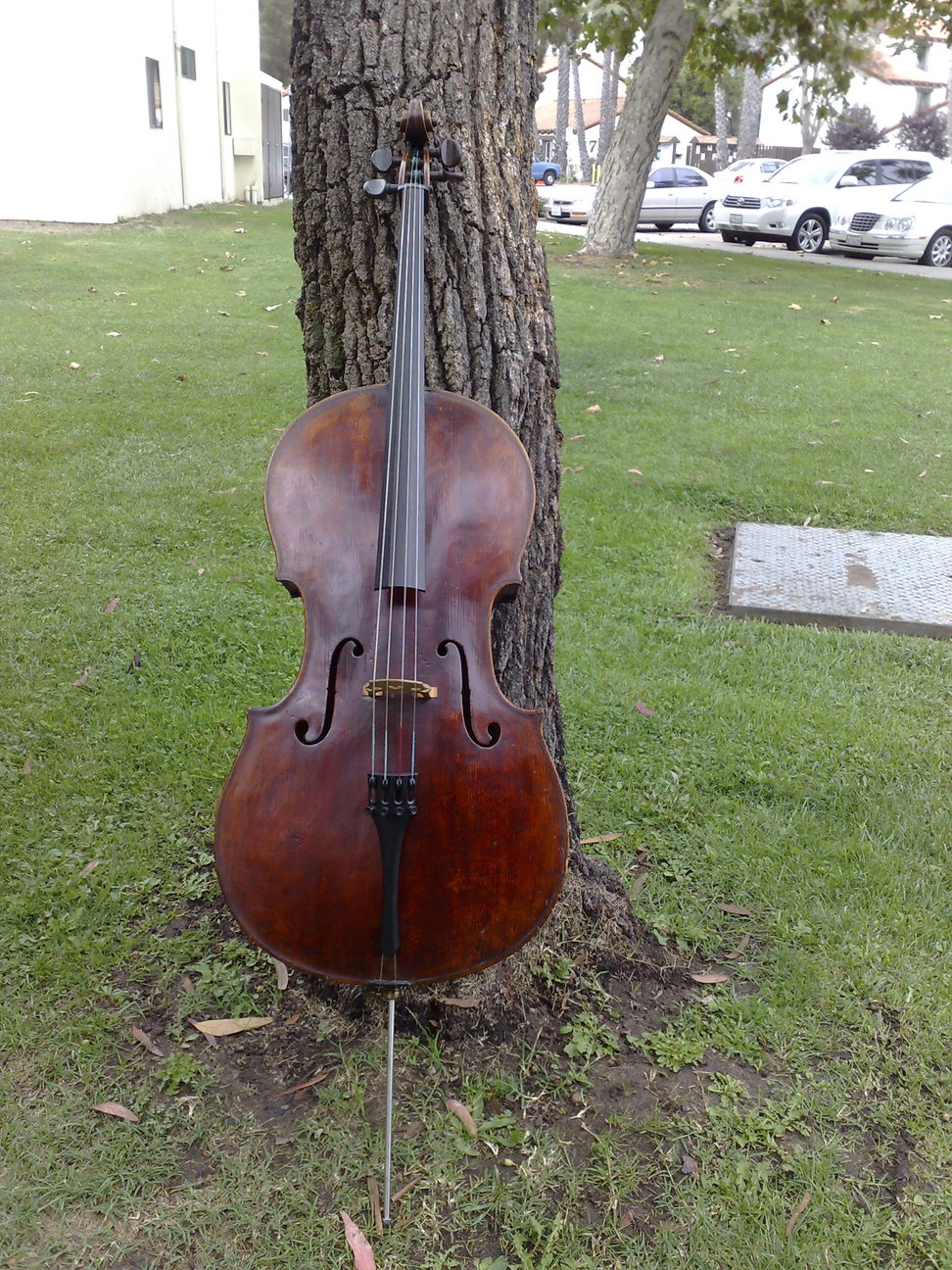 My german cello My german cello