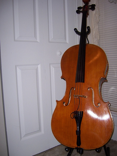 Michael Goronok cello.  Cleveland, 2000.