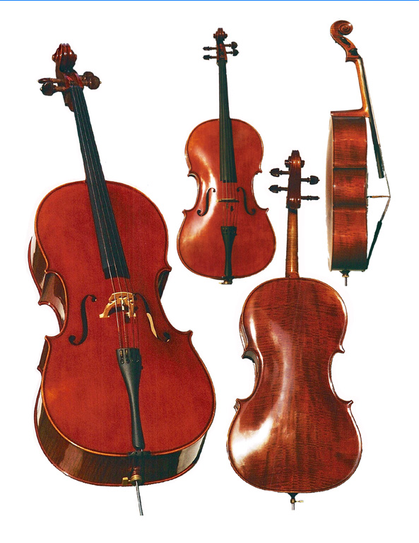 German Cello in Excellent Condition