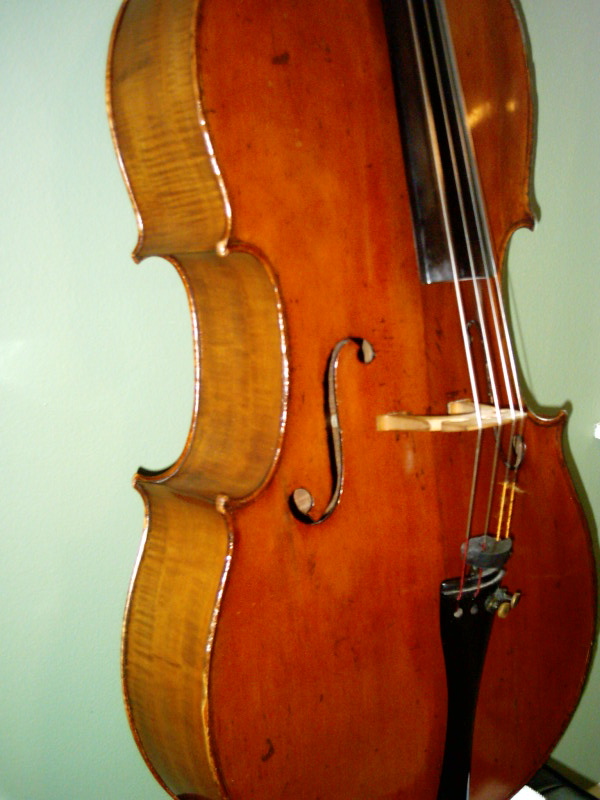 Forster Shop Cello for Sale