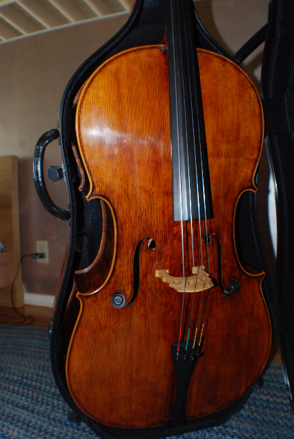 Beautiful intermediate/advanced Full Cello