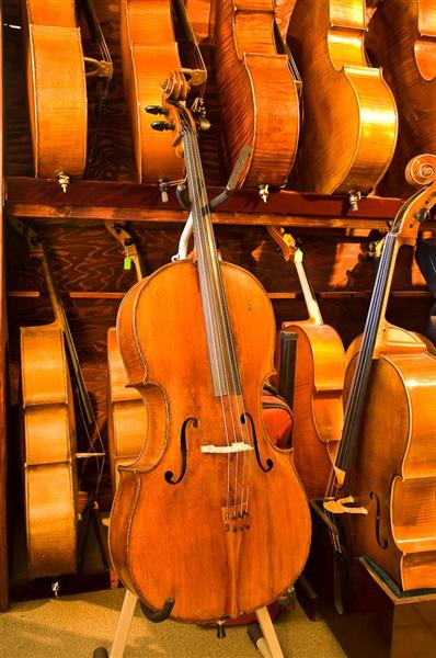 1876 Petite cello