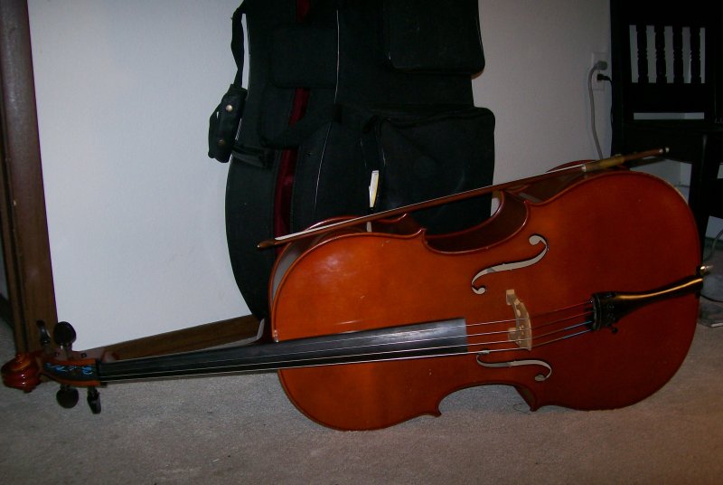 Intermediate Student Cello