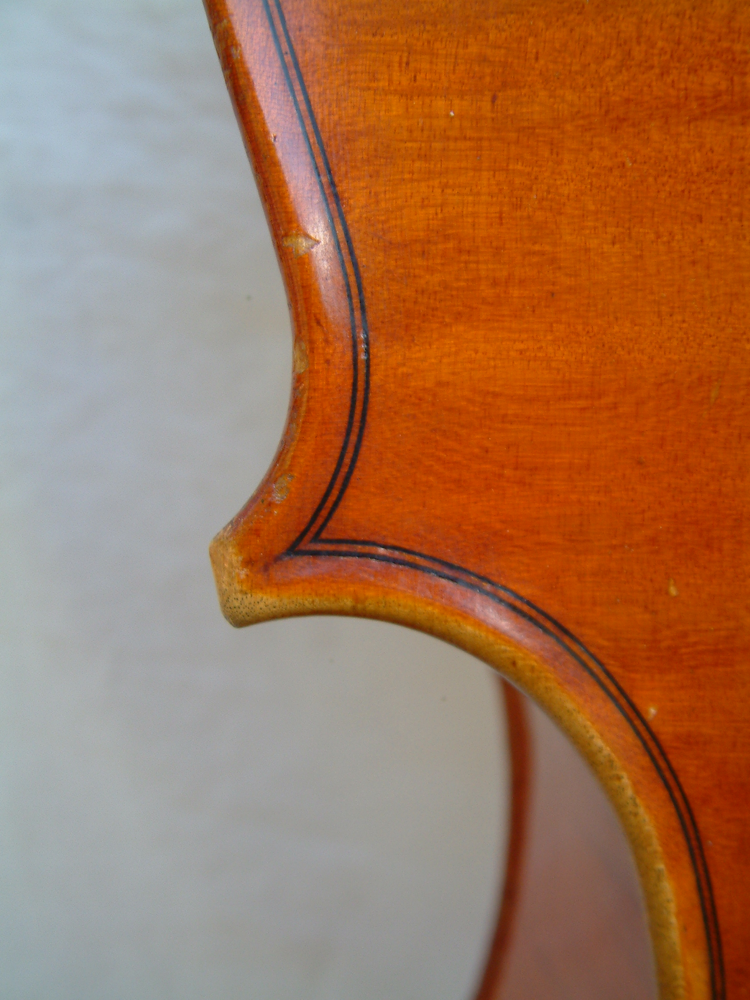 Farotti Celeste Cello 1903 C-bouts Farotti Celeste Cello 1903 C-bouts 