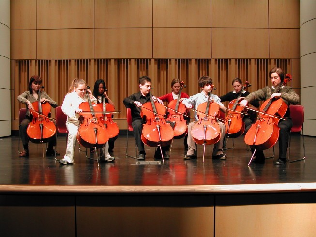 de Greve Cello Institute de Greve Cello Institute